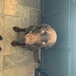 Meet your Posher, Krs